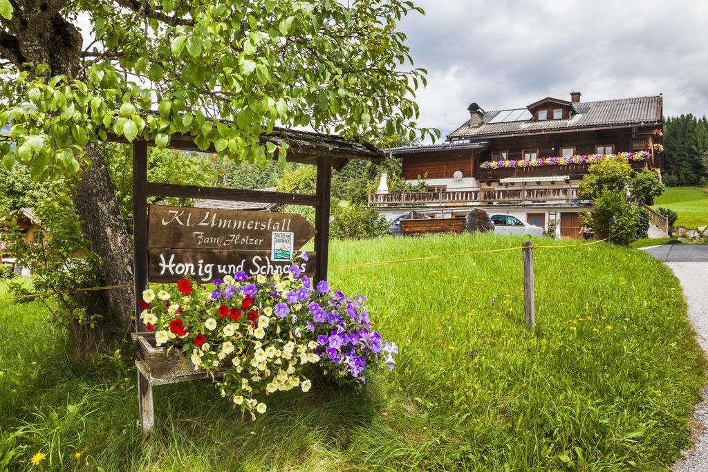 Biobauernhof Kleinummerstall Mittersill Exterior photo